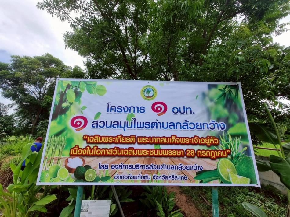 โครงการ อบต.รวมใจภักดิ์ รักษ์พื้นที่สีเขียว 2568